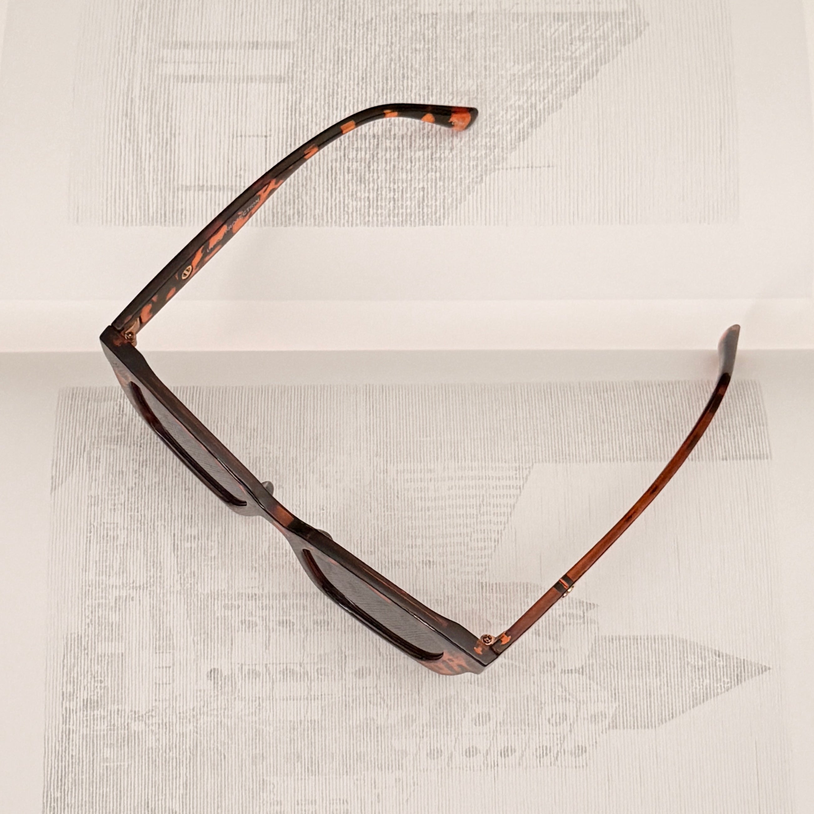 T-Rec Ace Sunglasses